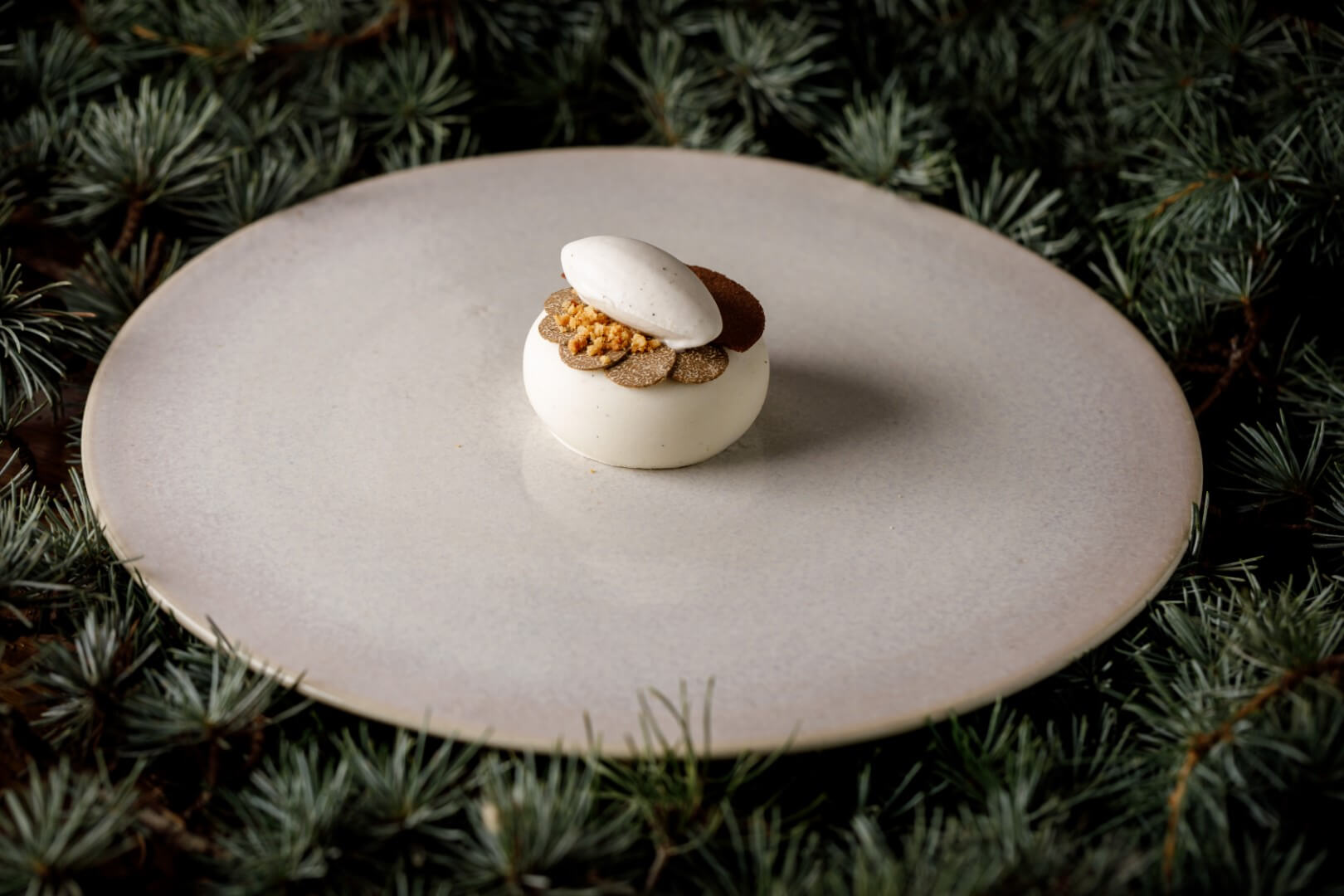 Mousse di patata, spugna al cacao e gelato al tartufo_ Sintesi_ph. Andrea Di Lorenzo(1)