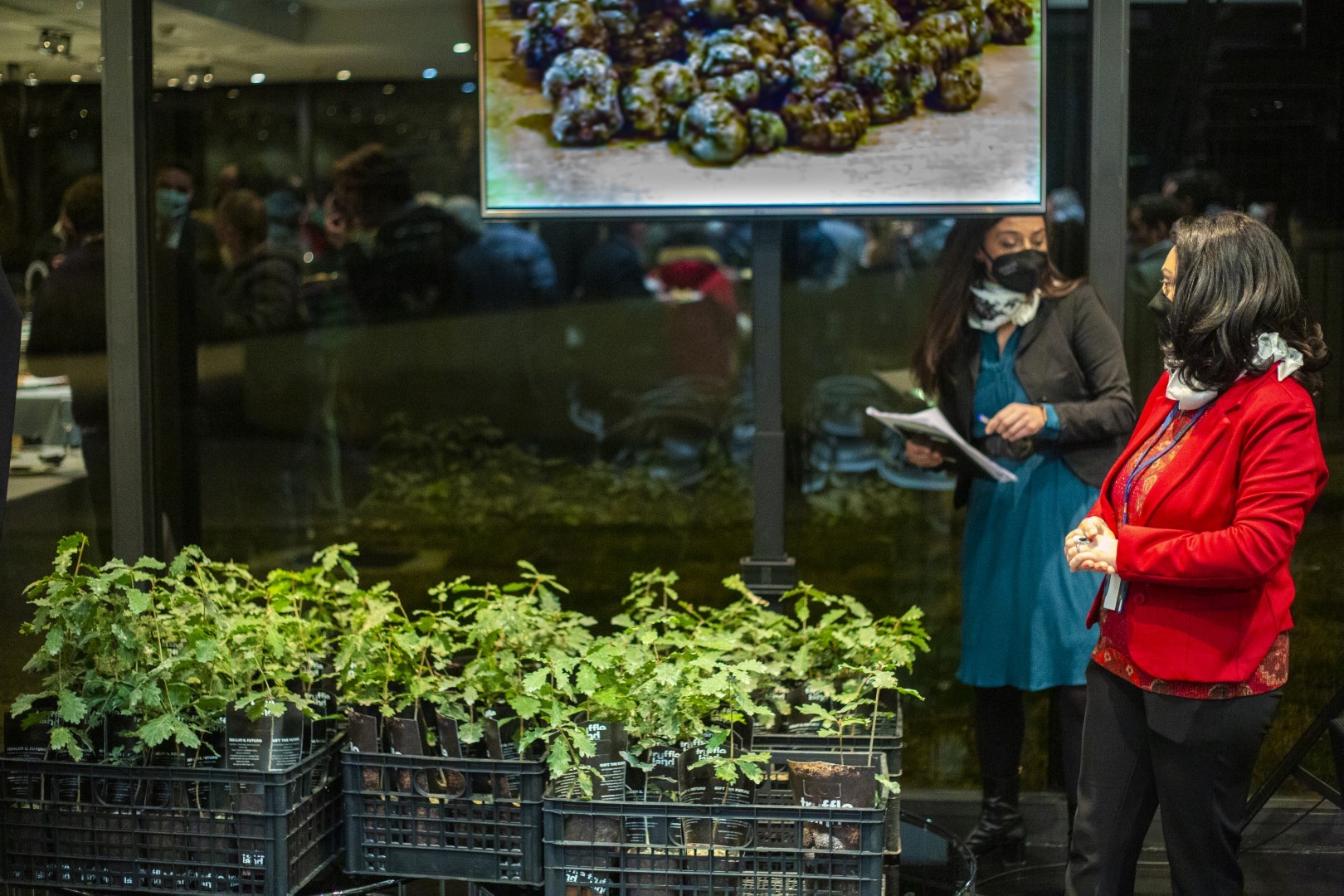 Filiera-Tartufo-Urbani-Truffleland (27)