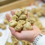 Global truffle mania puts Italy’s Umbria region at the centre of a booming luxury food business